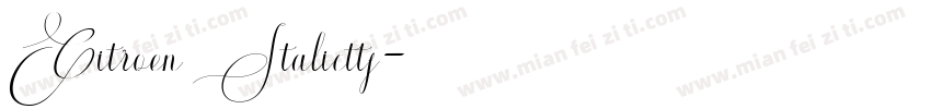 Citroen Italicttf字体转换